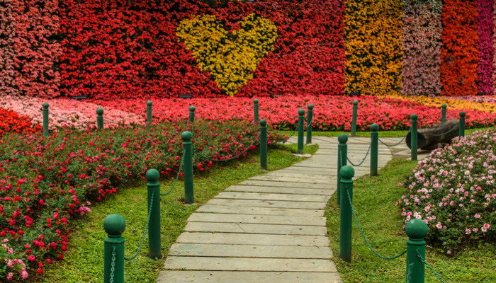 Epcot flower and garden festival 2019