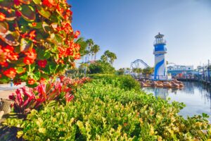 Veterans Day Discounts SeaWorld Orlando