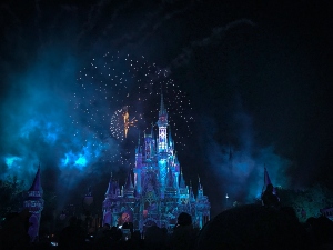 A picture of Magic Kingdom's Cinderella's Castle at Walt Disney World Resort where the annual pass is now on sale.