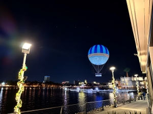 Disney Springs Aerophile